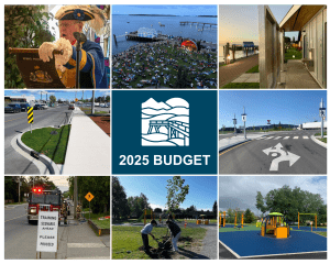 Collage for Budget 2025 with 8 photos from Sidney