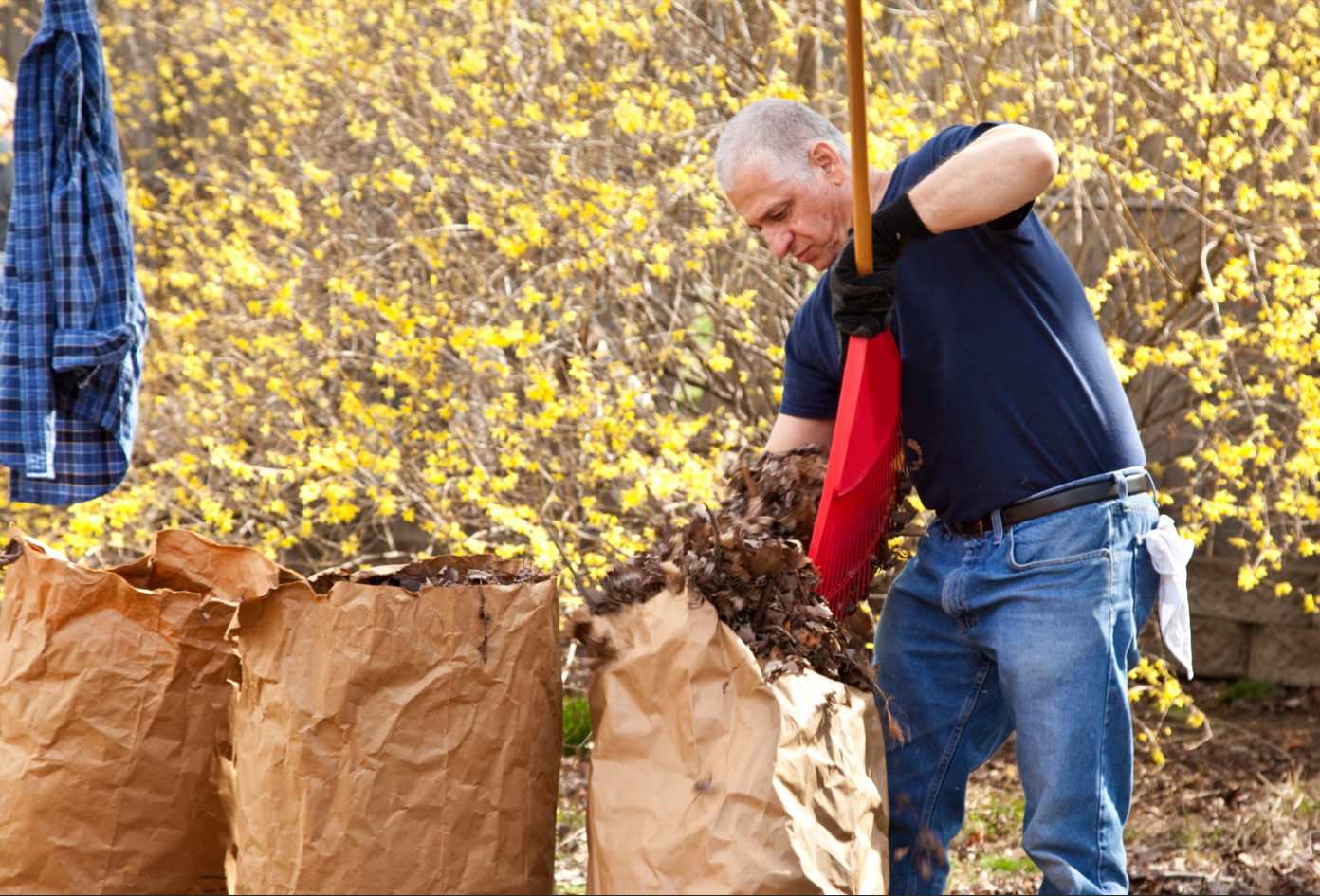 Man with rake putting leaves in paper bag