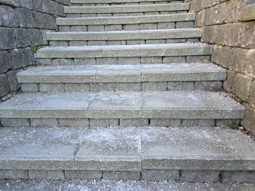 Paved steps leading upwards, sprinkled in sidewalk salt.