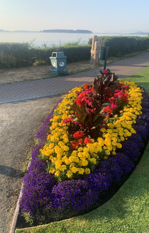 A garden bed full of purple, yellow, and red flowers by the waterfront walkway stone path.