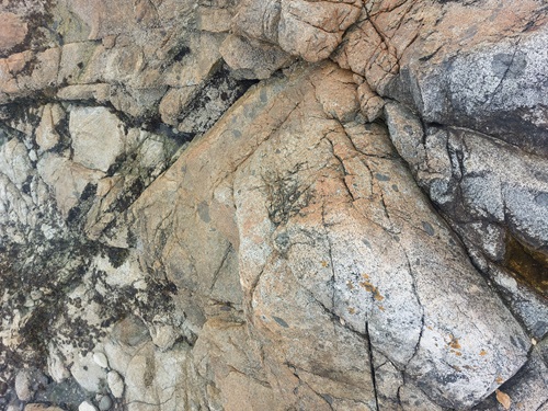 A look down at the texture of beach rocks. There are blacks cracks in the largest of them, and small grey pebbles.