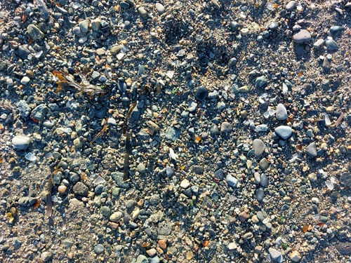 An overhead close up of a pebbly beach. There are bits of brown and white sea glass visible among the rocks.