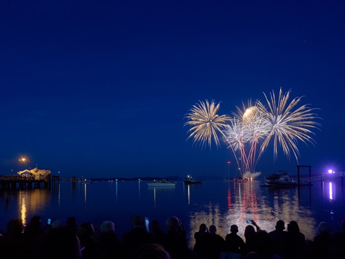 A dazzling fireworks display over the water and the silhouettes of happy onlookers in the foreground.