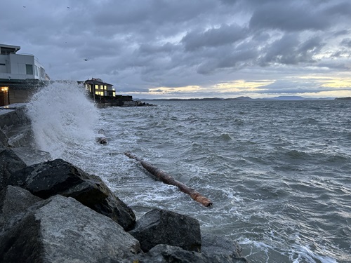 Waves crash against large rocks while logs and other debris floats in the roiling water.